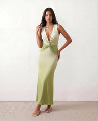 Ariana Plunge Neck Fitted Maxi Dress